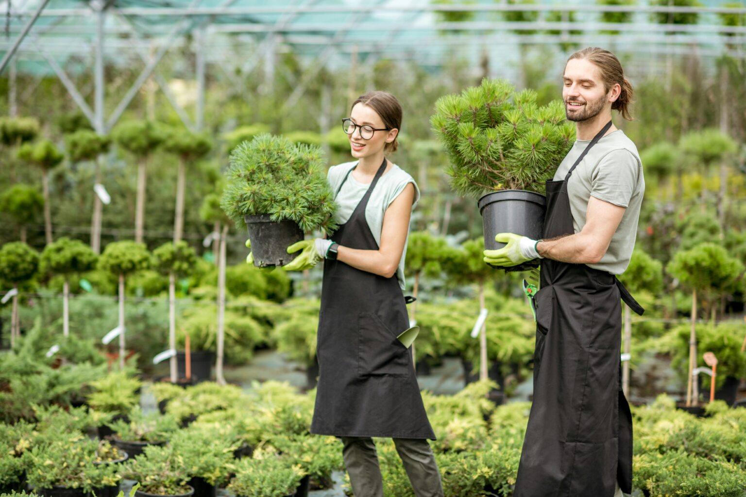 Image showcasing Hotel Management: Cultivating Green Spaces for Guest Experience