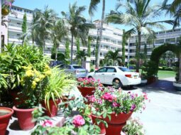 Hotel Gardening