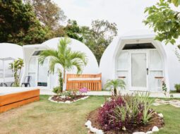 Rachelle Marzorati:Hotel Garden Design