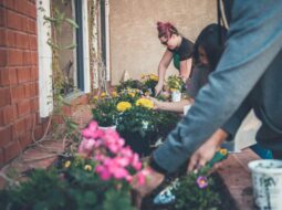 Role of Gardening