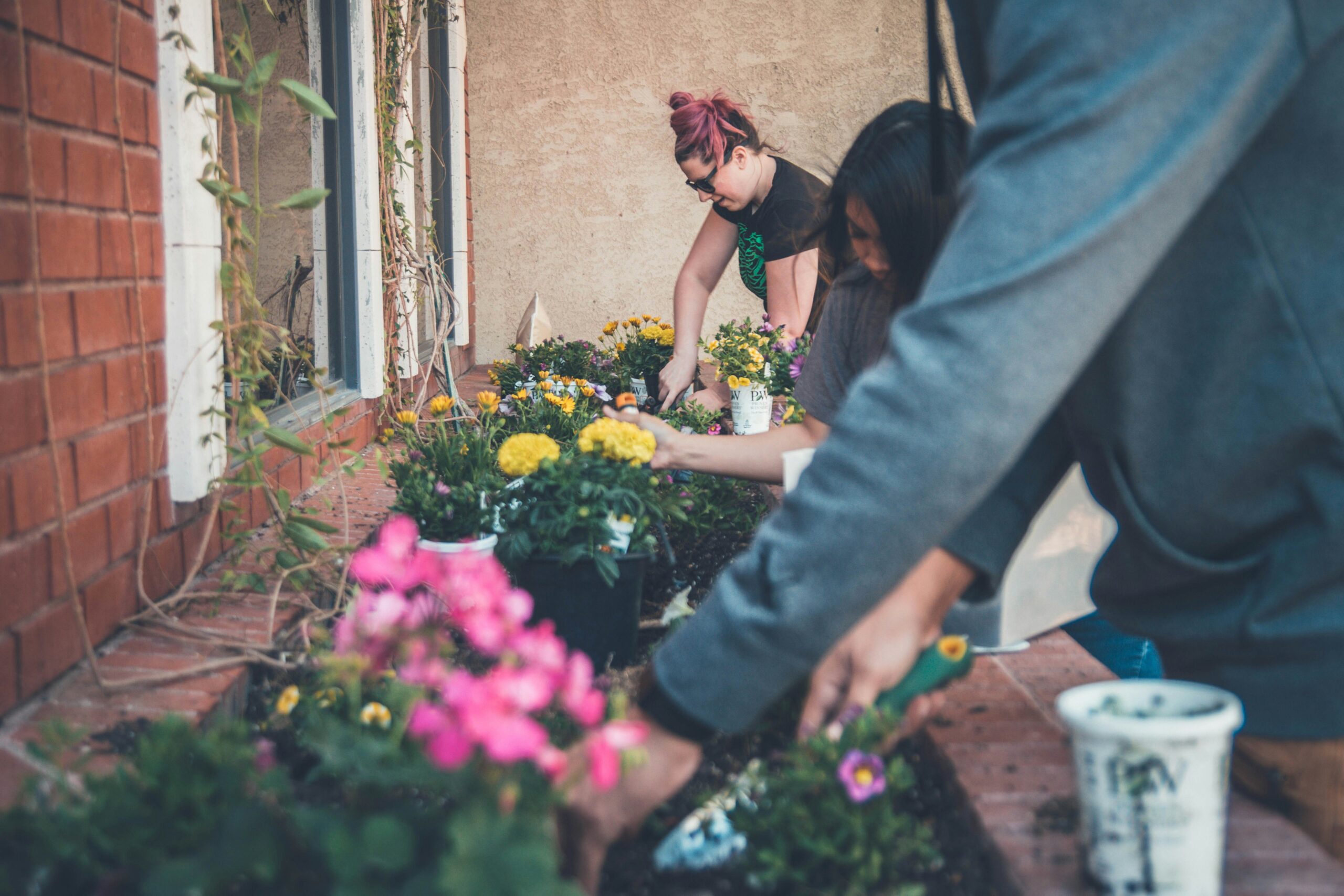 Role of Gardening